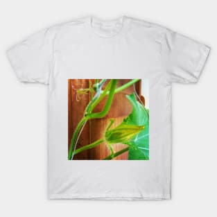 Pumpkin Blossom T-Shirt